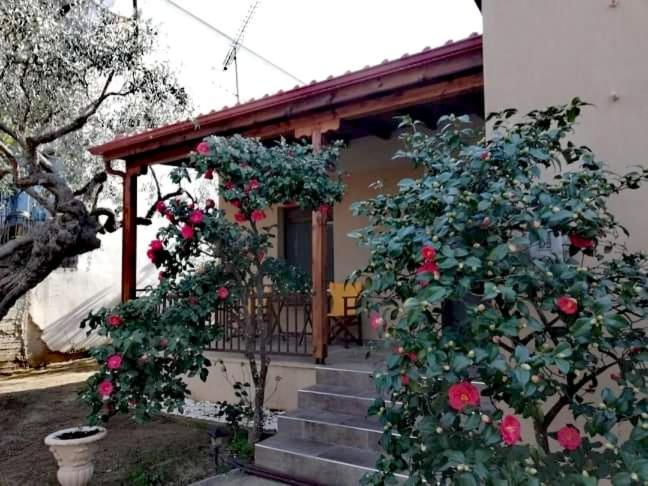 John And Tania'S Garden Villa พริโนส ภายนอก รูปภาพ