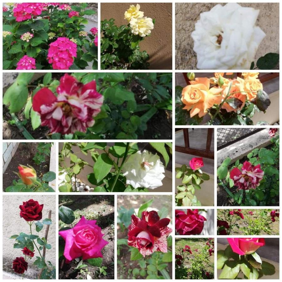 John And Tania'S Garden Villa พริโนส ภายนอก รูปภาพ
