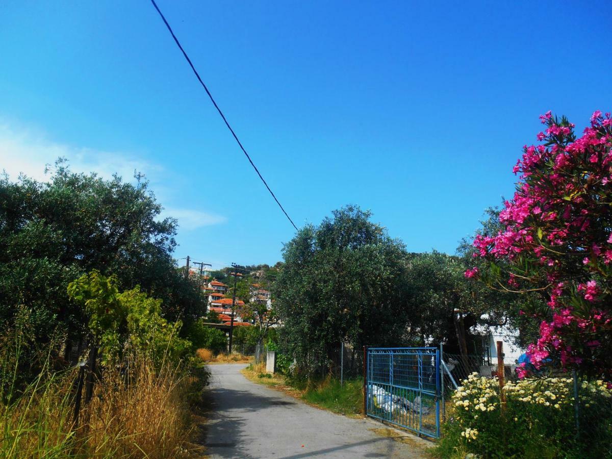 John And Tania'S Garden Villa พริโนส ภายนอก รูปภาพ